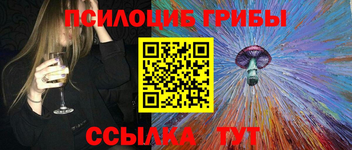 Балашов  Галлюциногенные грибы мухоморы  Вход с VPN  Псилоцибиновые грибы GOLDEN TEACHER 